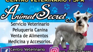 entrenadores personales a domicilio en barquisimeto Centro Veterinario y Spa Animal Secret,, C.A.