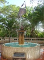 medicos cardiologia barquisimeto Ascardio